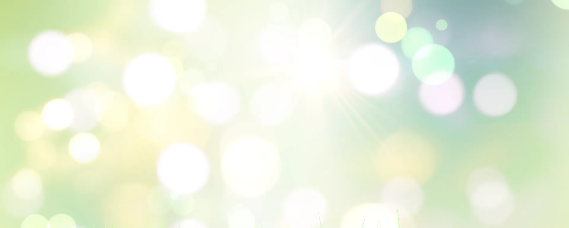 Marcas exclusivas en rebajas